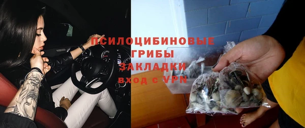шишки Лиски