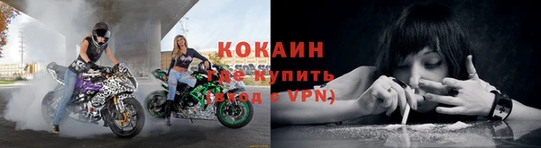 амф Магадан