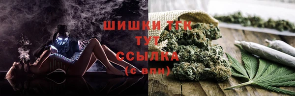 твердый Майский