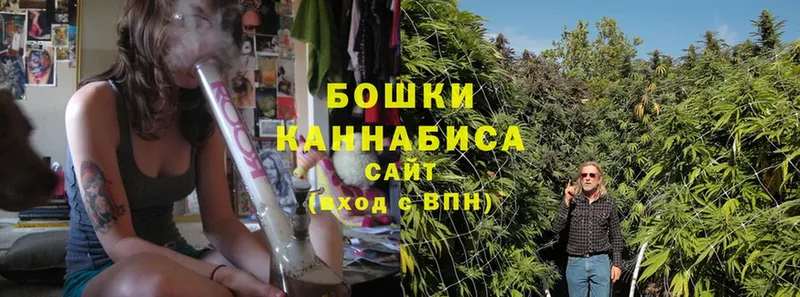 где купить наркоту  Остров  Бошки Шишки White Widow 